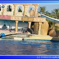 Marineland - Dauphins - Spectacle - 17h45 - 0070