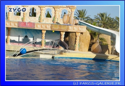 Marineland - Dauphins - Spectacle - 17h45 - 0070