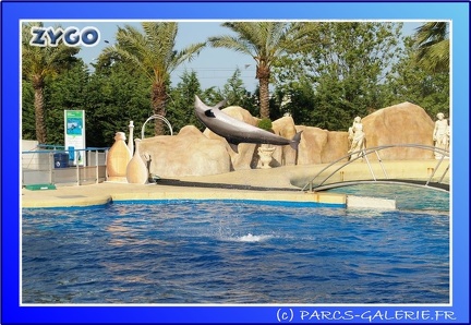 Marineland - Dauphins - Spectacle - 17h45 - 0071