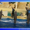 Marineland - Dauphins - Spectacle - 17h45 - 0076