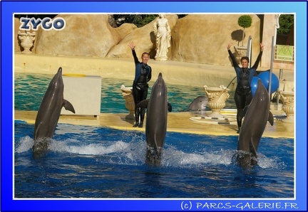 Marineland - Dauphins - Spectacle - 17h45 - 0076