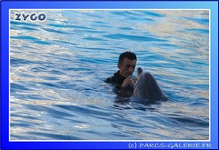 Marineland - Dauphins - Spectacle - 17h45 - 0079