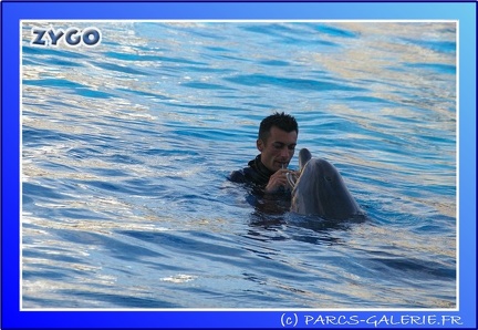 Marineland - Dauphins - Spectacle - 17h45 - 0079