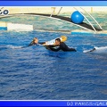 Marineland - Dauphins - Spectacle - 17h45 - 0081