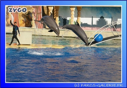 Marineland - Dauphins - Spectacle - 17h45 - 0082