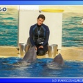 Marineland - Dauphins - Spectacle - 17h45 - 0084