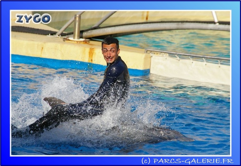 Marineland - Dauphins - Spectacle - 17h45 - 0085