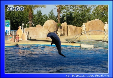 Marineland - Dauphins - Spectacle - 17h45 - 0088