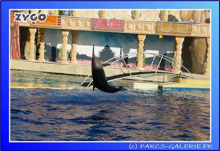 Marineland - Dauphins - Spectacle - 17h45 - 0089
