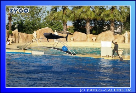 Marineland - Dauphins - Spectacle - 17h45 - 0090