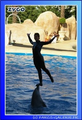 Marineland - Dauphins - Spectacle - 17h45 - 0091