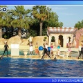 Marineland - Dauphins - Spectacle - 17h45 - 0095