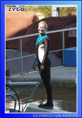 Marineland - Orques - Spectacle - 15h00 - 0106