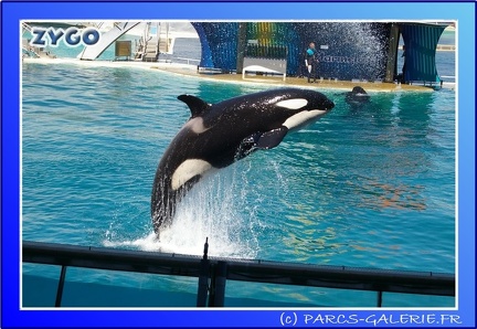 Marineland - Orques - Spectacle - 15h00 - 0110