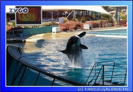 Marineland - Orques - Spectacle - 15h00 - 0111