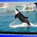 Marineland - Orques - Spectacle - 15h00 - 0112