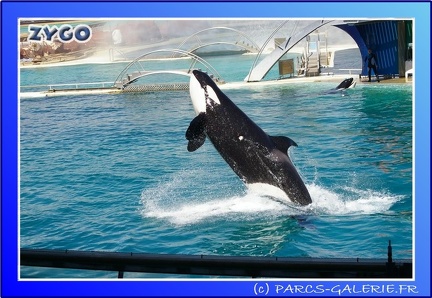 Marineland - Orques - Spectacle - 15h00 - 0112
