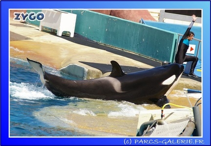 Marineland - Orques - Spectacle - 15h00 - 0113
