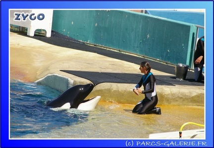 Marineland - Orques - Spectacle - 15h00 - 0115