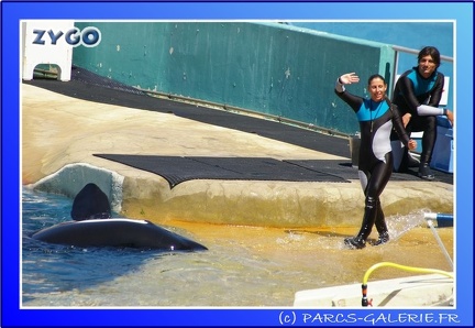 Marineland - Orques - Spectacle - 15h00 - 0116