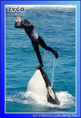 Marineland - Orques - Spectacle - 15h00 - 0117