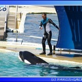 Marineland - Orques - Spectacle - 15h00 - 0119