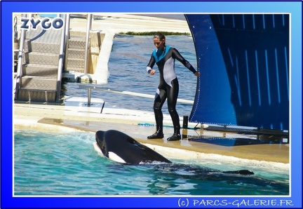 Marineland - Orques - Spectacle - 15h00 - 0119