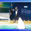 Marineland - Orques - Spectacle - 15h00 - 0120