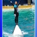 Marineland - Orques - Spectacle - 15h00 - 0122
