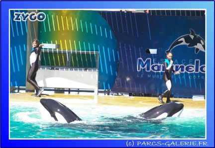 Marineland - Orques - Spectacle - 15h00 - 0124