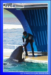 Marineland - Orques - Spectacle - 15h00 - 0125
