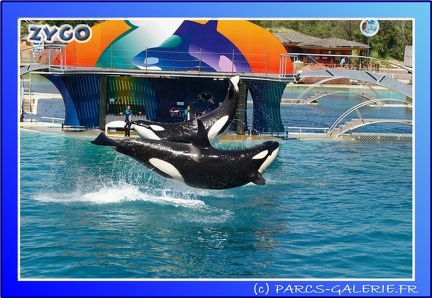 Marineland - Orques - Spectacle - 15h00 - 0126