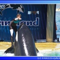Marineland - Orques - Spectacle - 15h00 - 0127