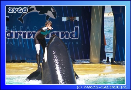 Marineland - Orques - Spectacle - 15h00 - 0127