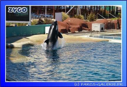 Marineland - Orques - Spectacle - 15h00 - 0128