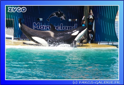 Marineland - Orques - Spectacle - 15h00 - 0129