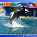 Marineland - Orques - Spectacle - 15h00 - 0130