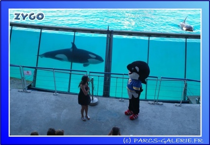 Marineland - Orques - Spectacle - 15h00 - 0133