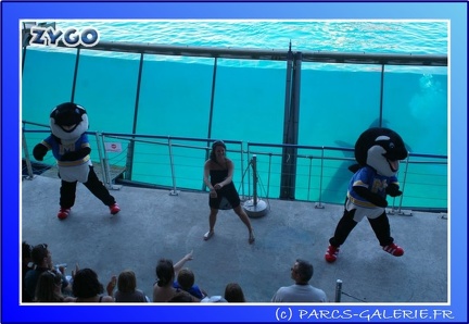 Marineland - Orques - Spectacle - 15h00 - 0134