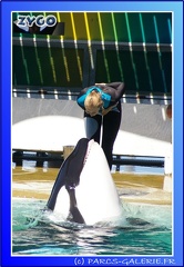 Marineland - Orques - Spectacle - 15h00 - 0136