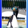 Marineland - Orques - Spectacle - 15h00 - 0136