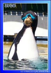 Marineland - Orques - Spectacle - 15h00 - 0137