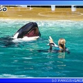 Marineland - Orques - Spectacle - 15h00 - 0138