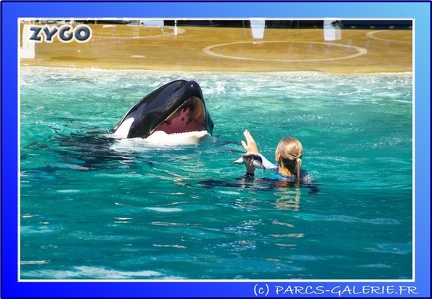 Marineland - Orques - Spectacle - 15h00 - 0138