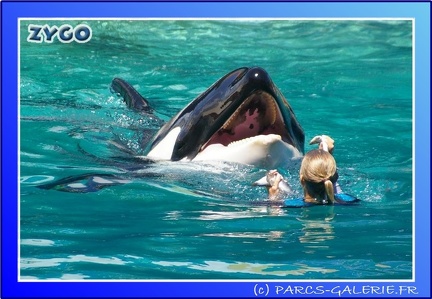 Marineland - Orques - Spectacle - 15h00 - 0139