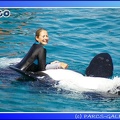 Marineland - Orques - Spectacle - 15h00 - 0142