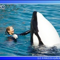 Marineland - Orques - Spectacle - 15h00 - 0143