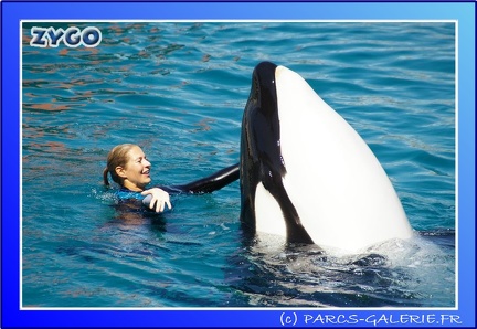 Marineland - Orques - Spectacle - 15h00 - 0143