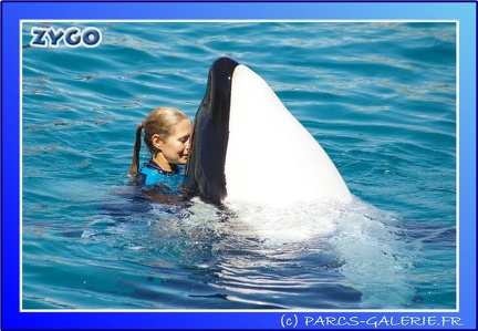 Marineland - Orques - Spectacle - 15h00 - 0144