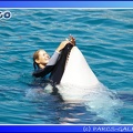 Marineland - Orques - Spectacle - 15h00 - 0145